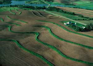 NRCS Iowa Terrace Image.tif