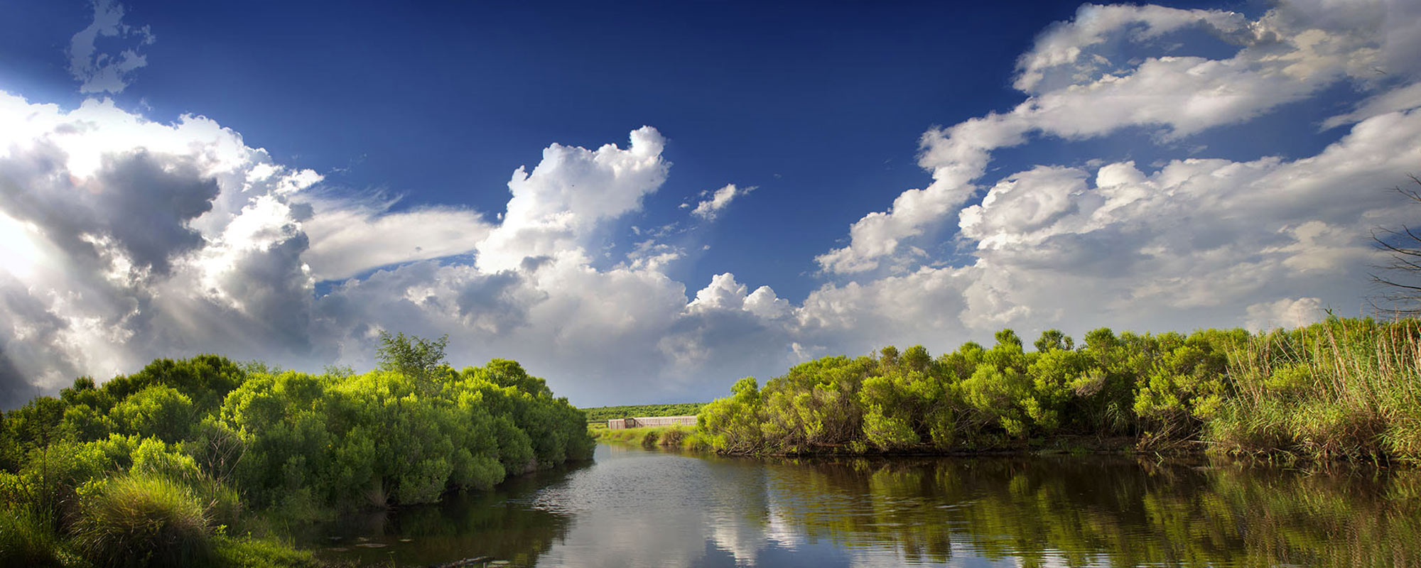 Louisiana Department of Environmental Quality The Environmental