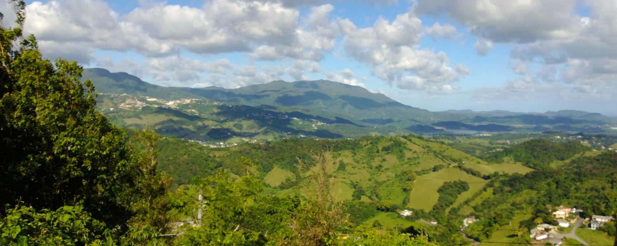 Puerto Rico Department of Natural and Environmental Resources The