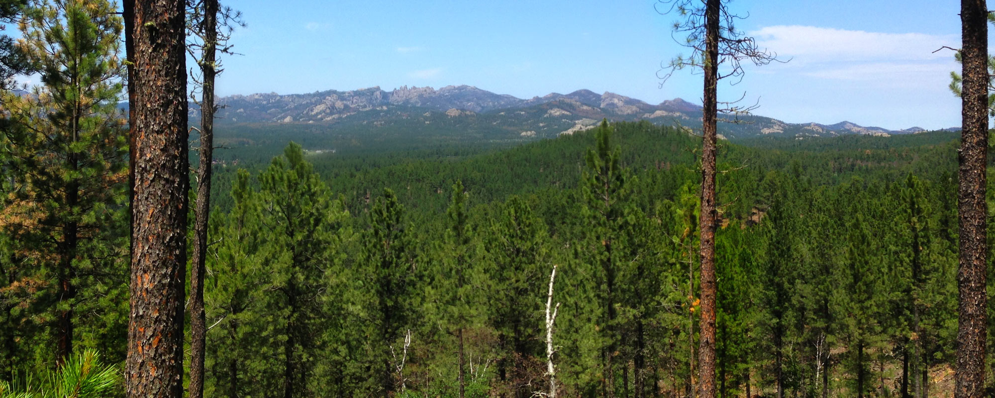 South Dakota Department of Agriculture and Natural Resources The